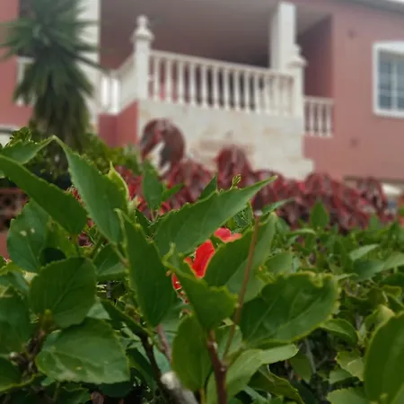 Daire Beatifull Sea View In Pto Cruz