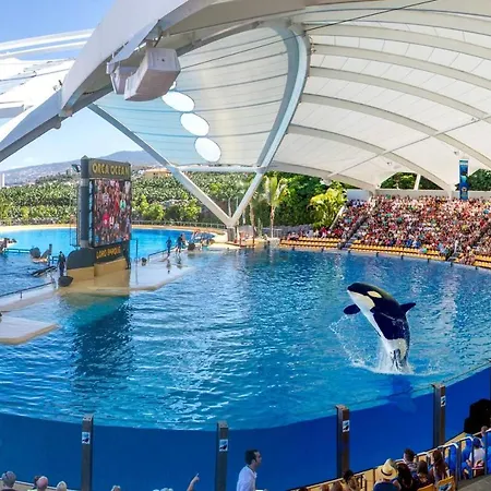 Appartement Beatifull Sea View In Pto Cruz *