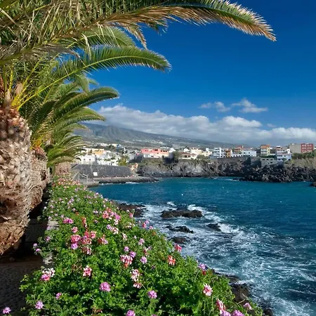 Appartement Beatifull Sea View In Pto Cruz